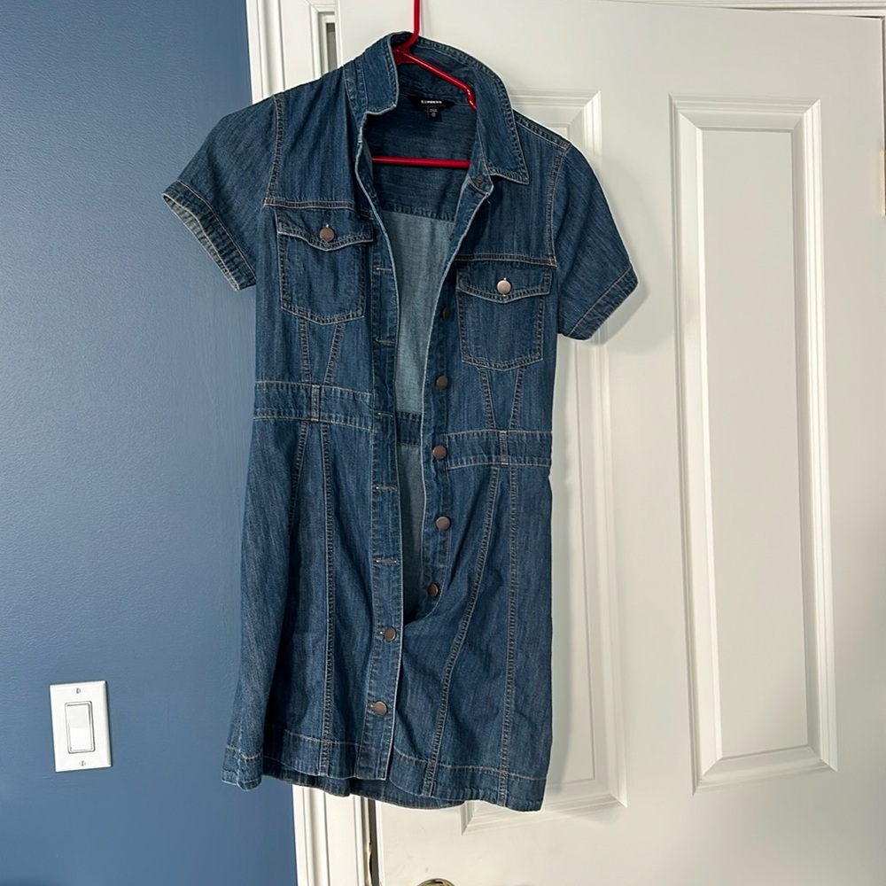 Express Jean dress
